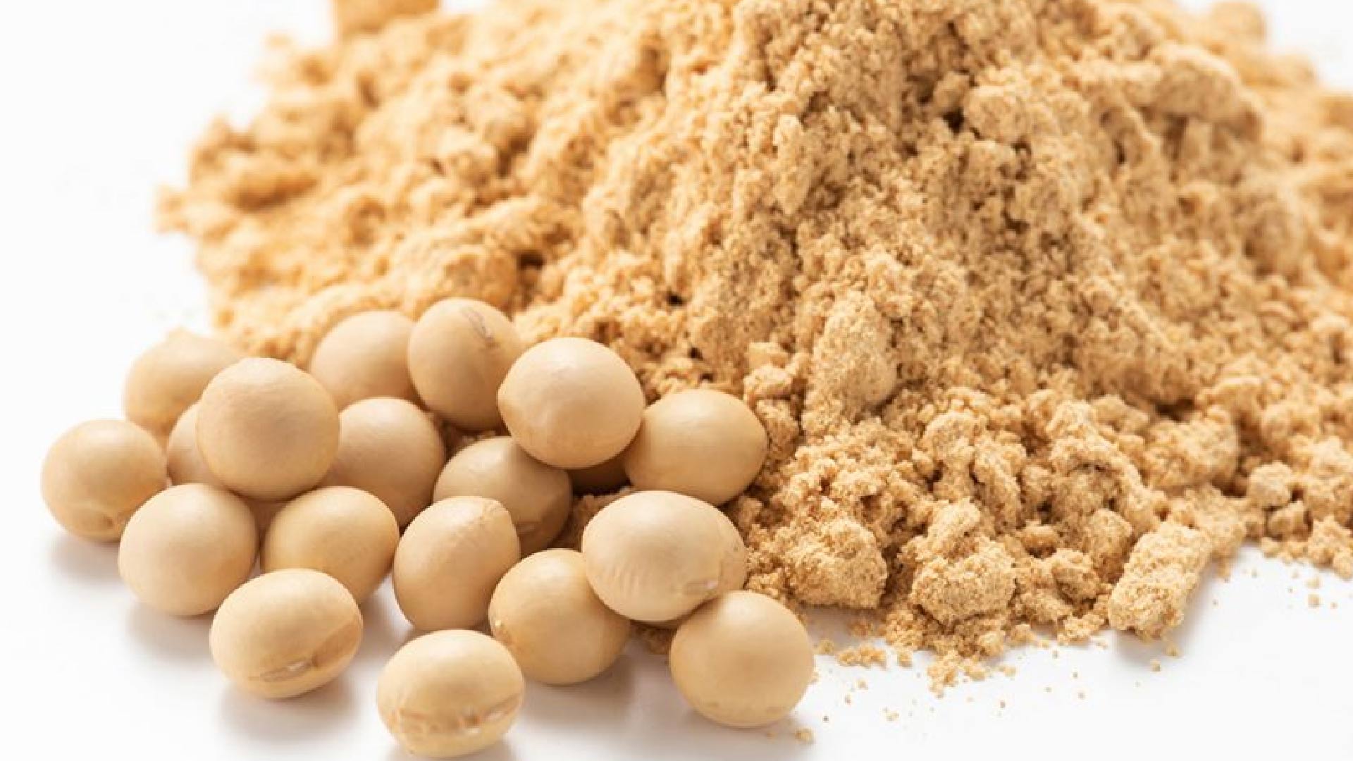 soya-flour-gallery-2